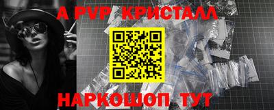 молекула духа Кингисепп