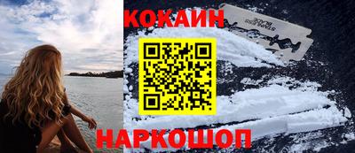 молекула духа Кингисепп