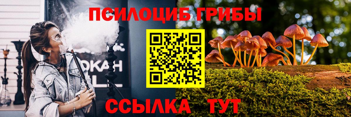 Галлюциногенные грибы Psilocybe Лесозаводск