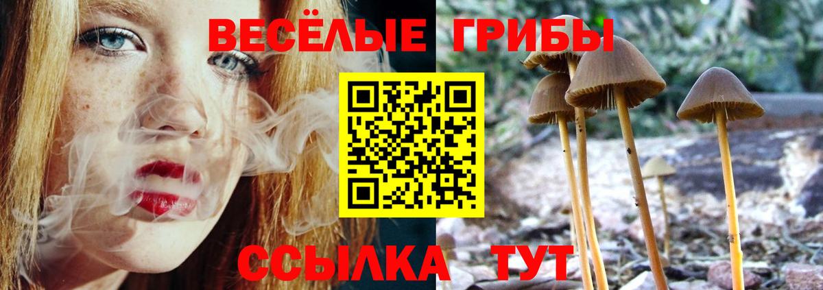 Лесозаводск  Галлюциногенные грибы MAGIC MUSHROOMS  Псилоцибиновые грибы мицелий  Вход с VPN 